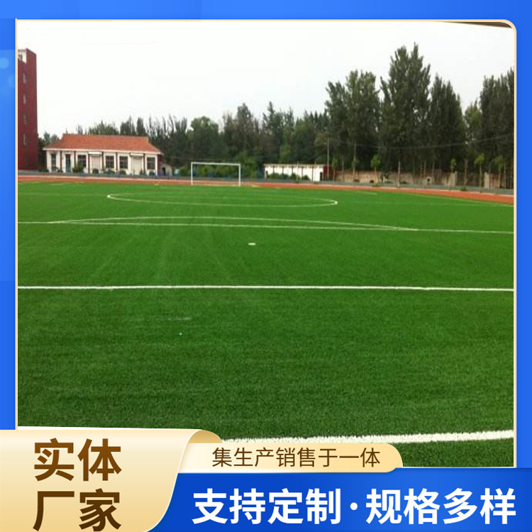 武汉市橡胶跑道人造草坪 - 排名